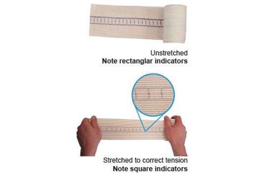 Snake Bite Bandage-193